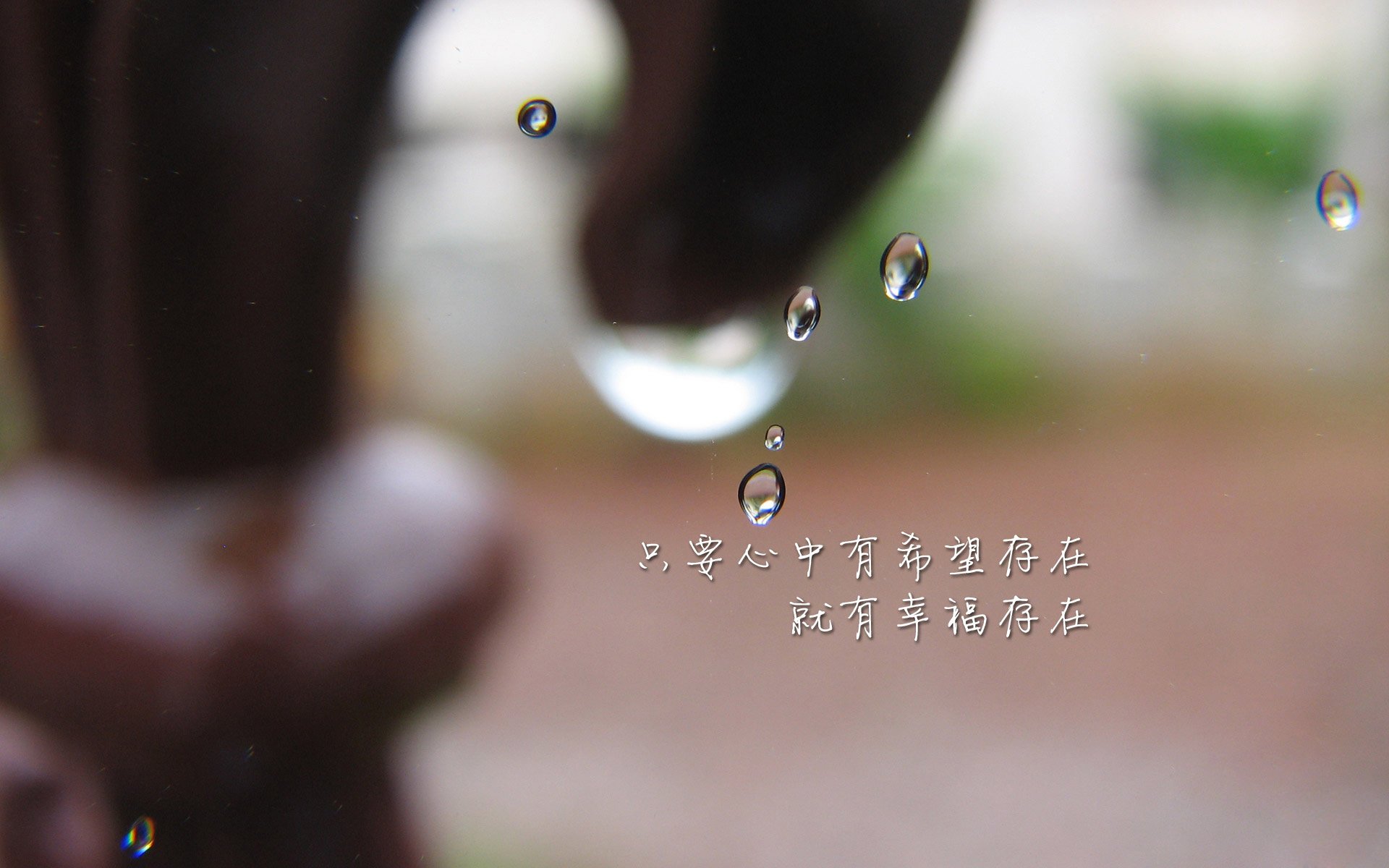 多特蒙德在主场击败对手，积分榜上升至第二位，多特蒙德主力阵容2021