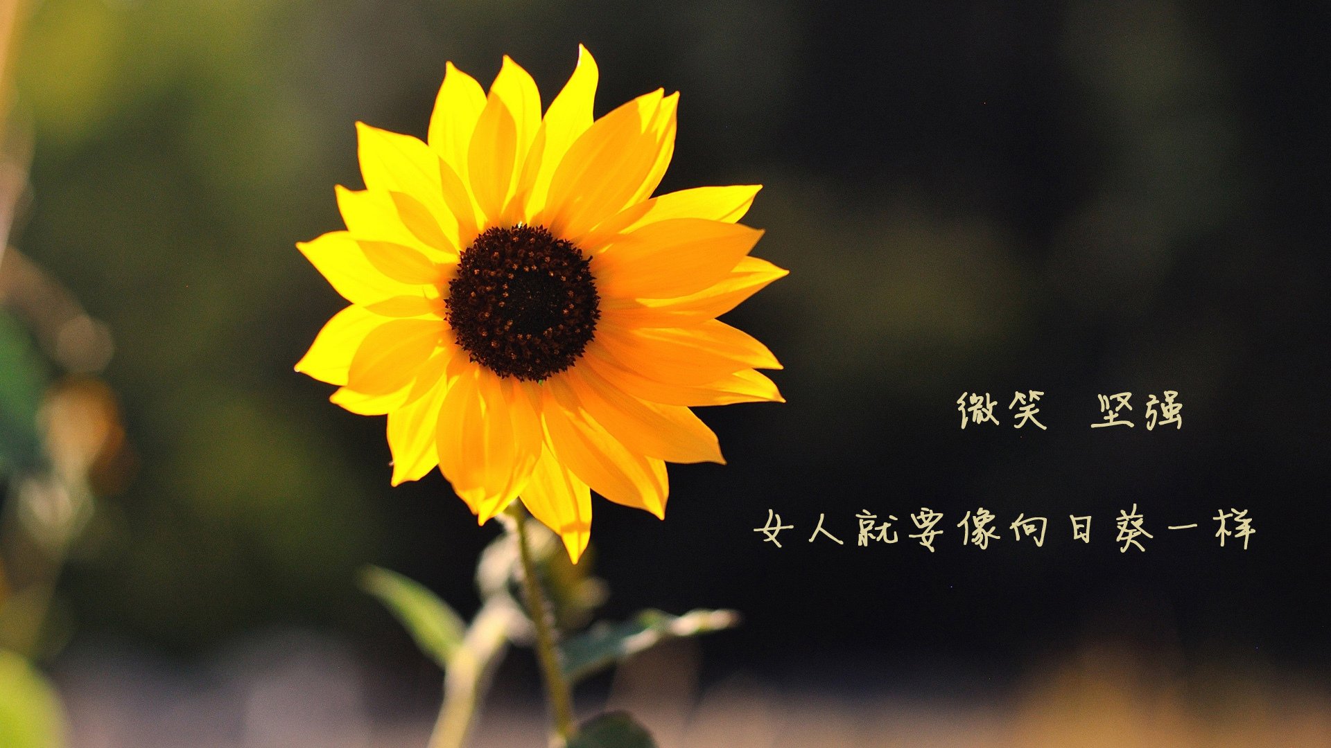 法国足球联赛中场激战，场上火药味十足，法国2020足球比赛