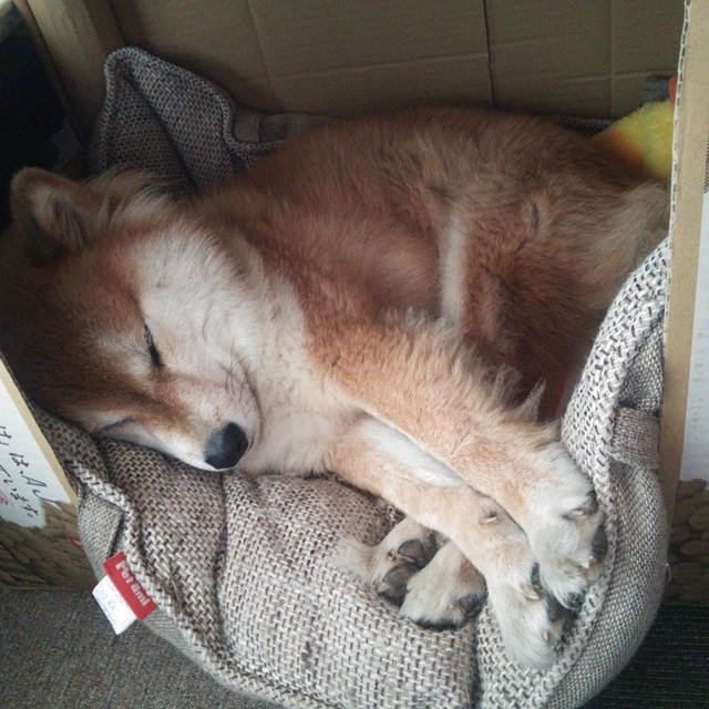 leyu.com-国家队后卫线人员调整加强防守转换与战术执行力，球队后卫