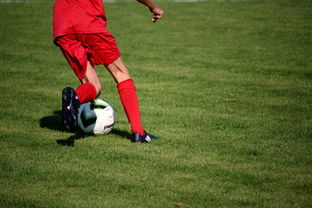 乐鱼官网-国脚待遇结构调整引导更多球员留在国内发展，国家队国脚