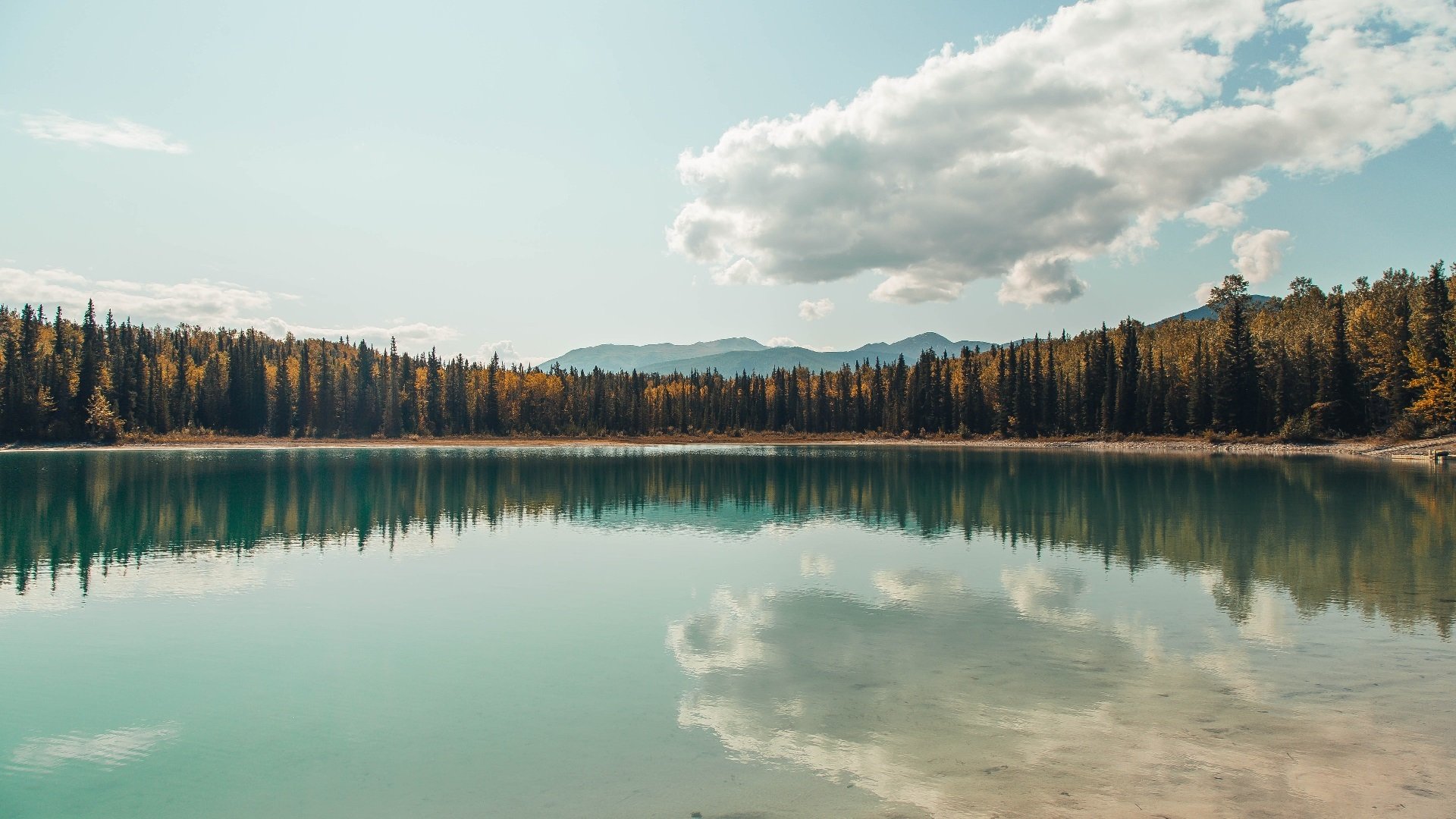 leyu乐鱼官网登录入口-快攻反击转换迅速，点球命中率提升，nba反击快攻