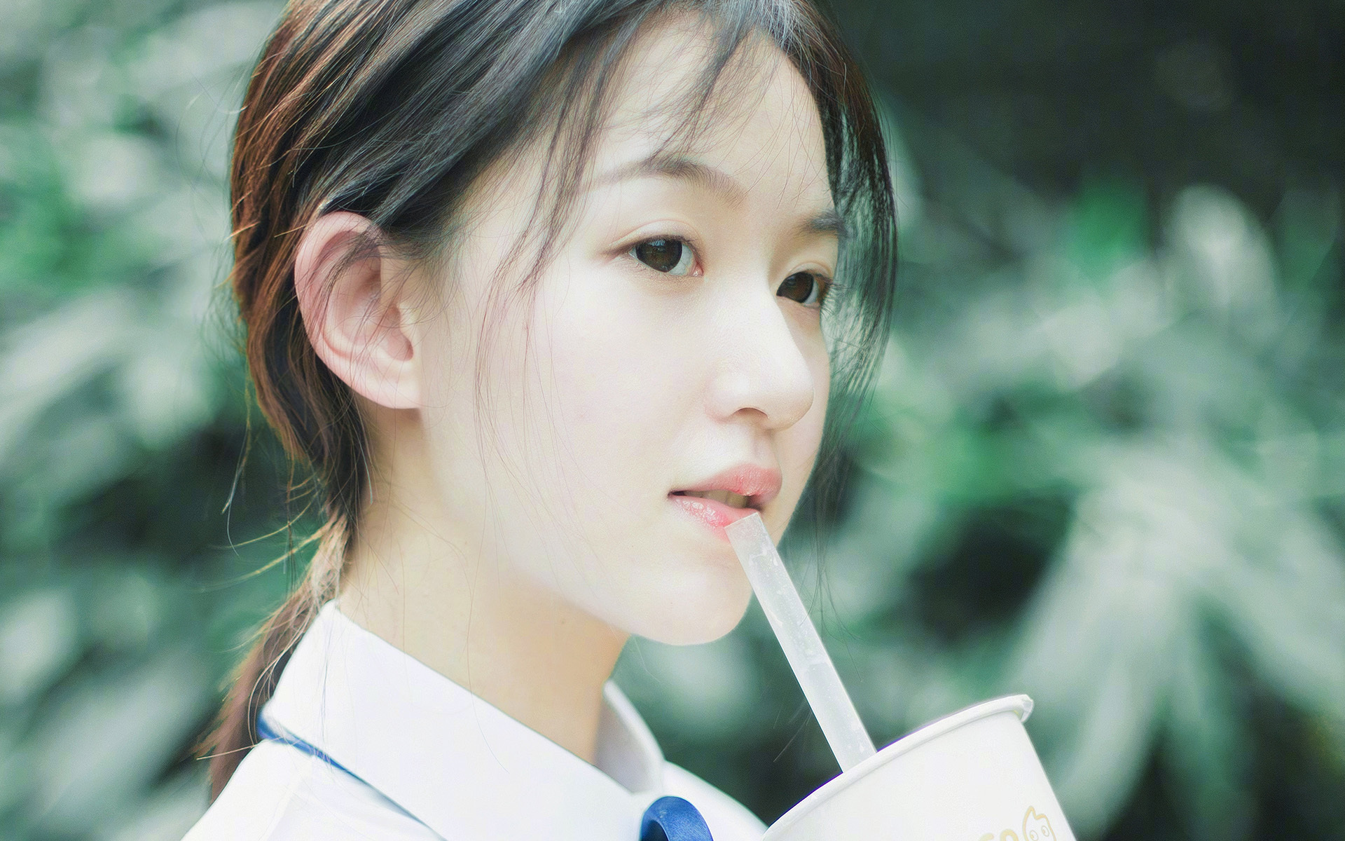 leyu乐鱼体育综合-澳大利亚袋鼠队：橄榄球冠军锦标赛的战术灵活性，袋鼠澳大利亚度百科