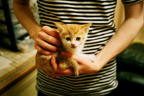 美洲杯明星交锋:个性与团体的激烈碰撞,美洲杯选手