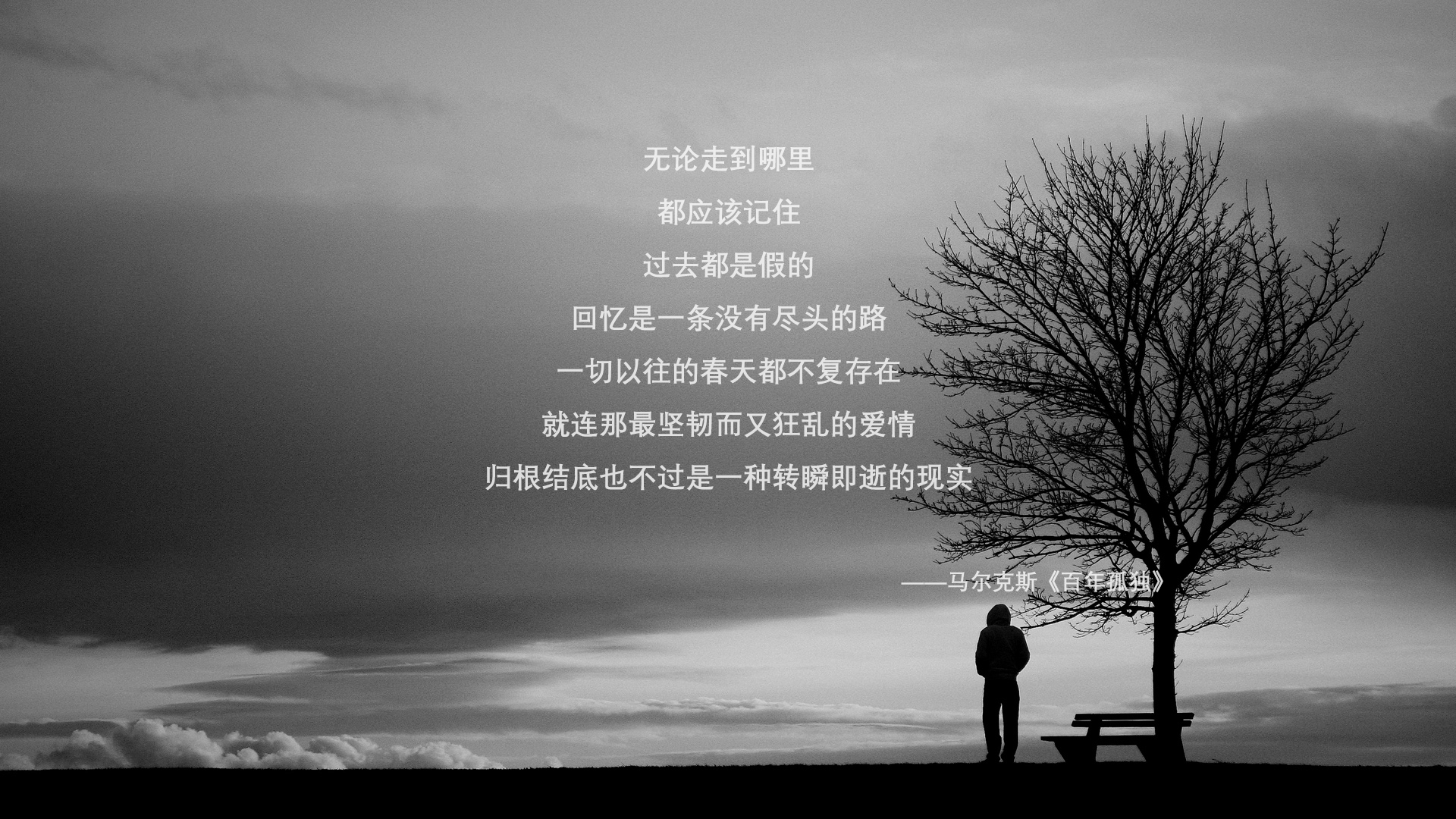 乐鱼体育登录-自由泳中距离摩纳哥节奏掌控良好，自由泳漫游