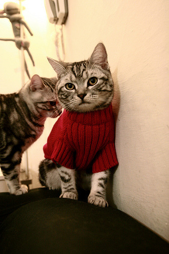 乐鱼app-青年才俊在海外联赛锻炼后回归国家队表现亮眼