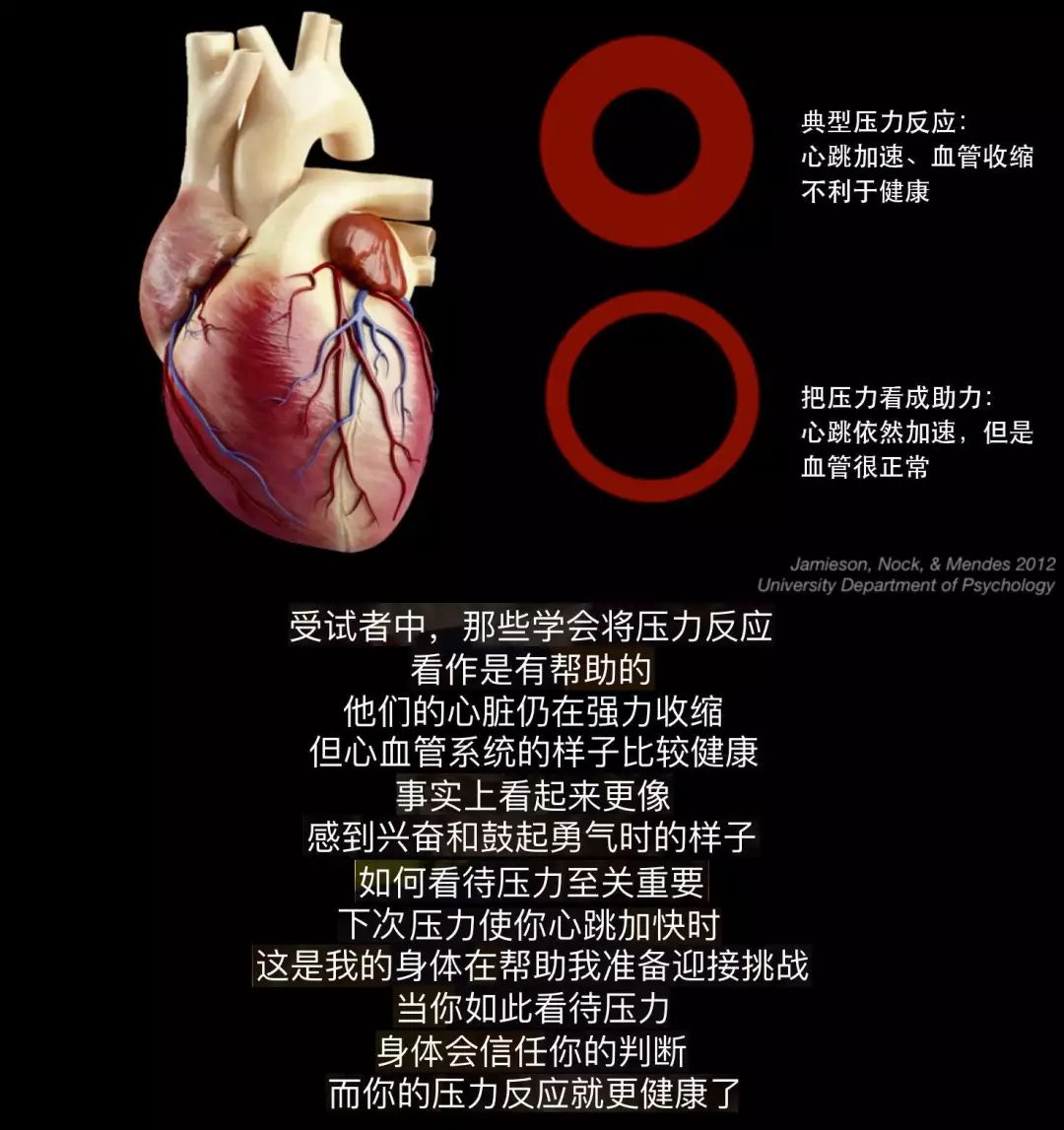 电竞选手心理压力大，如何疏导？的简单介绍